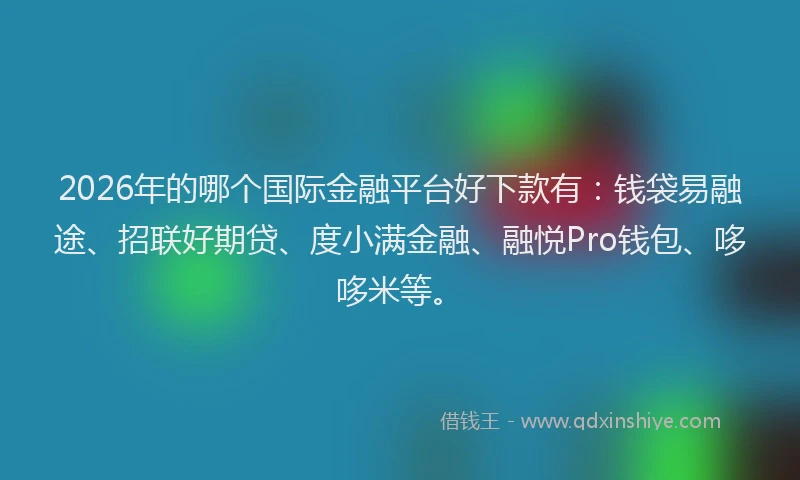2026年的哪个国际金融平台好下款有：钱袋易融途、招联好期贷、度小满金融、融悦Pro钱包、哆哆米等。