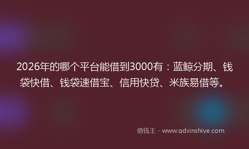 2026年的哪个平台能借到3000有：蓝鲸分期、钱袋快借、钱袋速借宝、信用快贷、米族易借等。