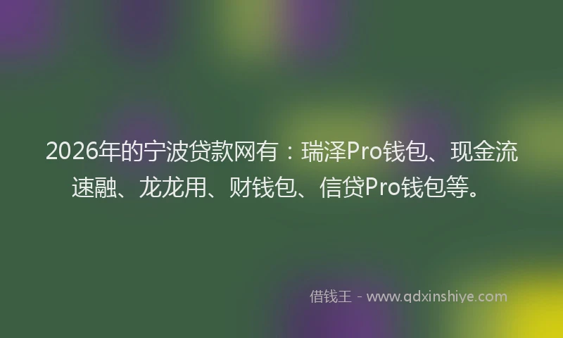 2026年的宁波贷款网有：瑞泽Pro钱包、现金流速融、龙龙用、财钱包、信贷Pro钱包等。
