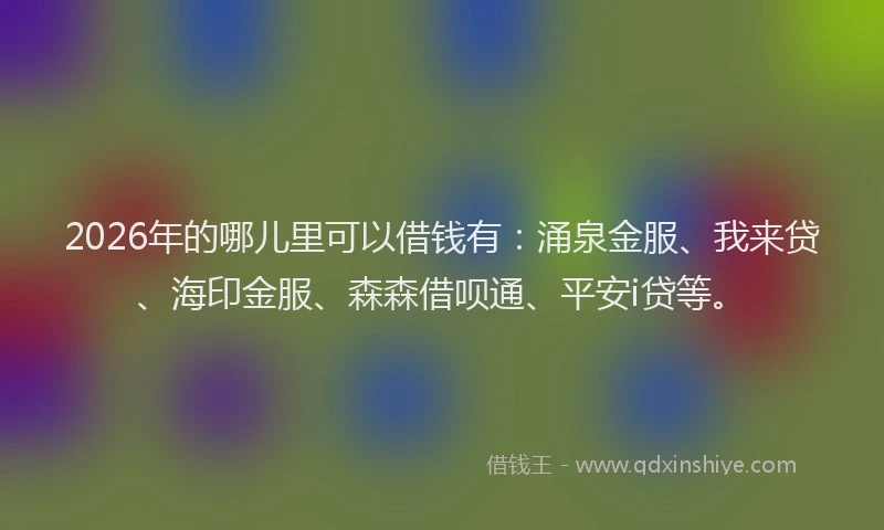 2026年的哪儿里可以借钱有：涌泉金服、我来贷、海印金服、森森借呗通、平安i贷等。