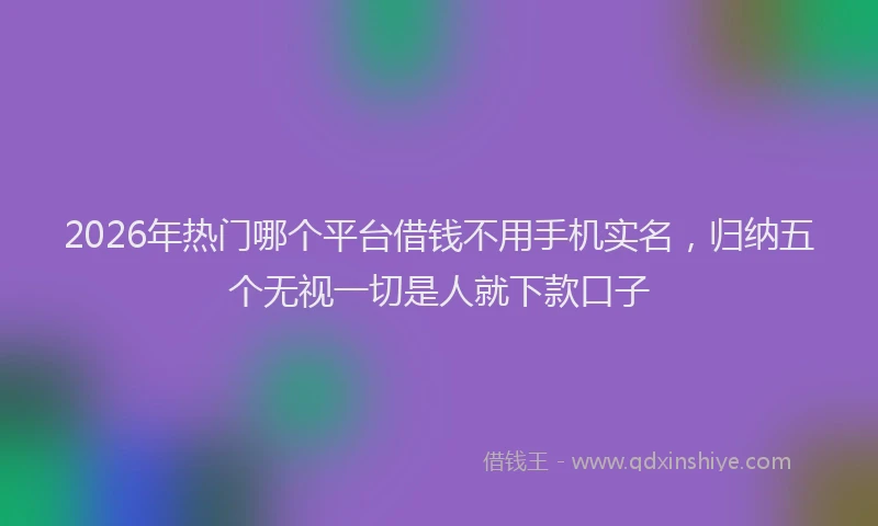 2026年热门哪个平台借钱不用手机实名，归纳五个无视一切是人就下款口子