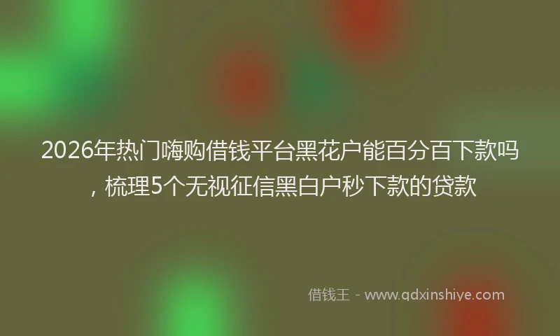 2026年热门嗨购借钱平台黑花户能百分百下款吗，梳理5个无视征信黑白户秒下款的贷款