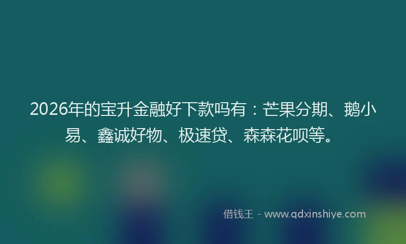 2026年的宝升金融好下款吗有：芒果分期、鹅小易、鑫诚好物、极速贷、森森花呗等。