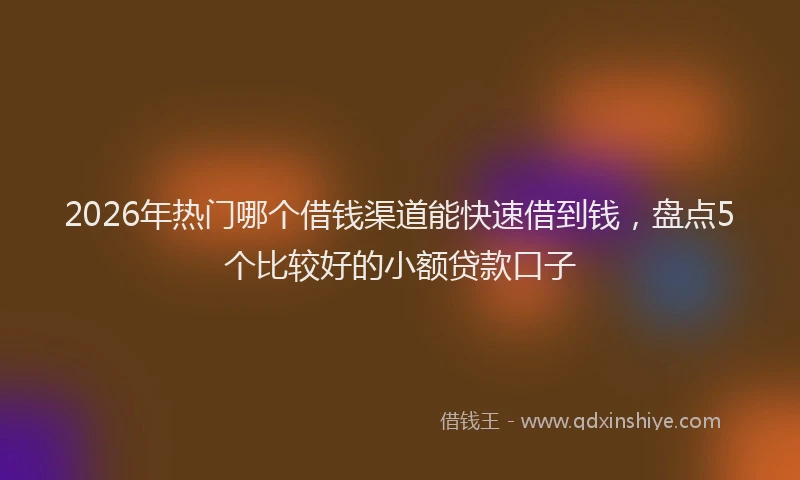 2026年热门哪个借钱渠道能快速借到钱，盘点5个比较好的小额贷款口子