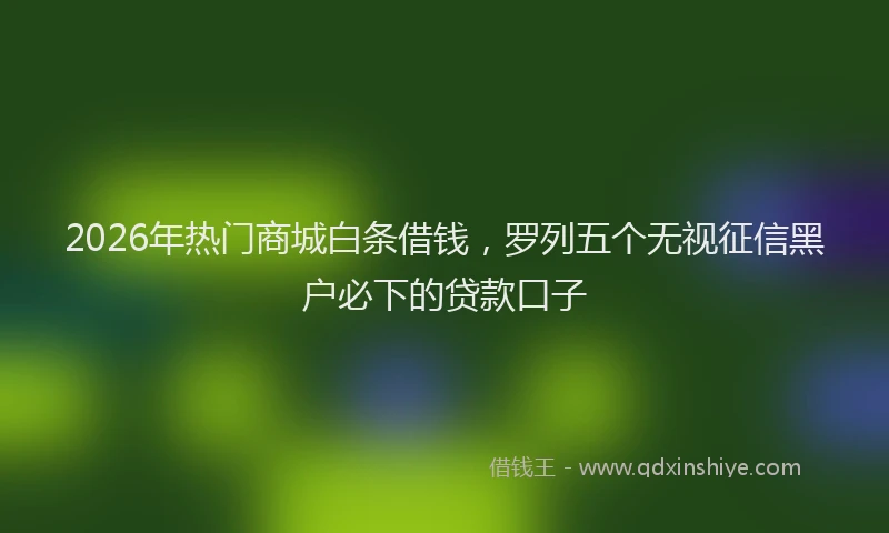 2026年热门商城白条借钱，罗列五个无视征信黑户必下的贷款口子