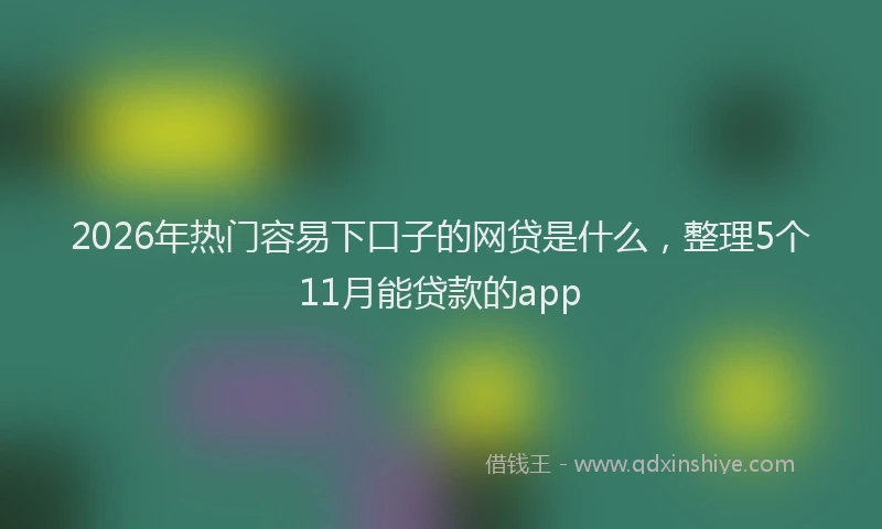 2026年热门容易下口子的网贷是什么，整理5个11月能贷款的app