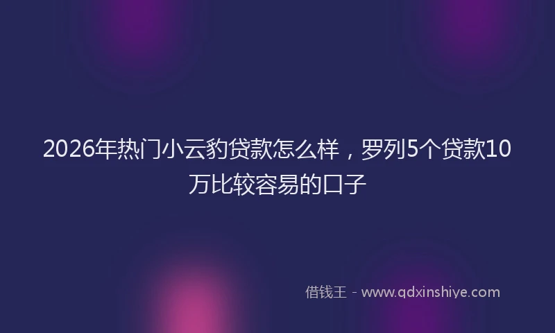 2026年热门小云豹贷款怎么样，罗列5个贷款10万比较容易的口子