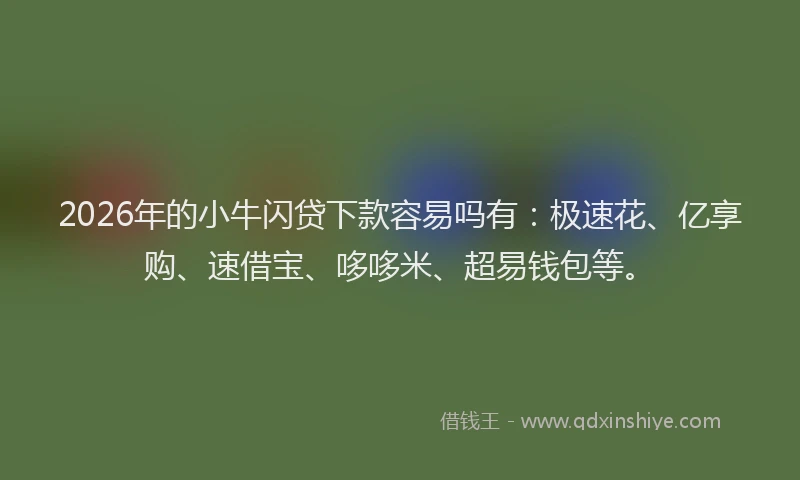 2026年的小牛闪贷下款容易吗有：极速花、亿享购、速借宝、哆哆米、超易钱包等。