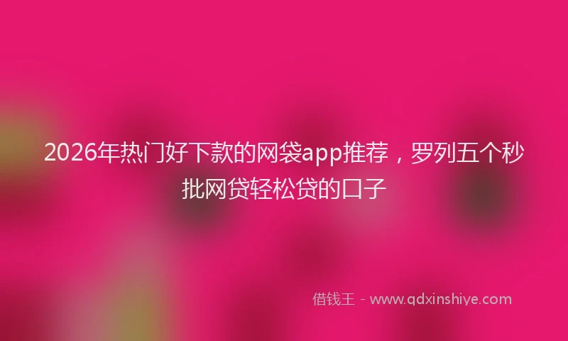 2026年热门好下款的网袋app推荐，罗列五个秒批网贷轻松贷的口子