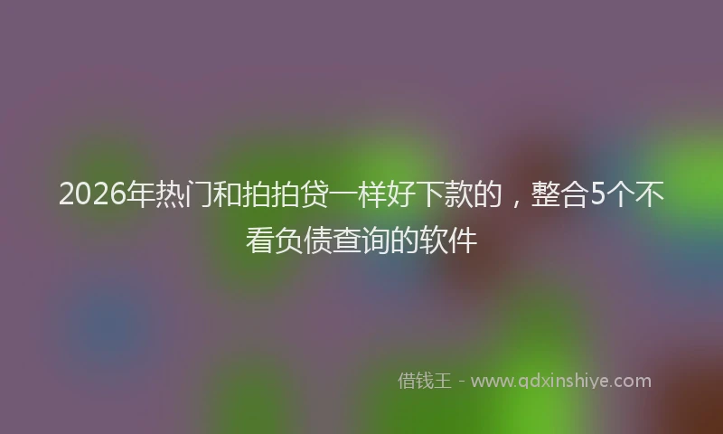 2026年热门和拍拍贷一样好下款的，整合5个不看负债查询的软件