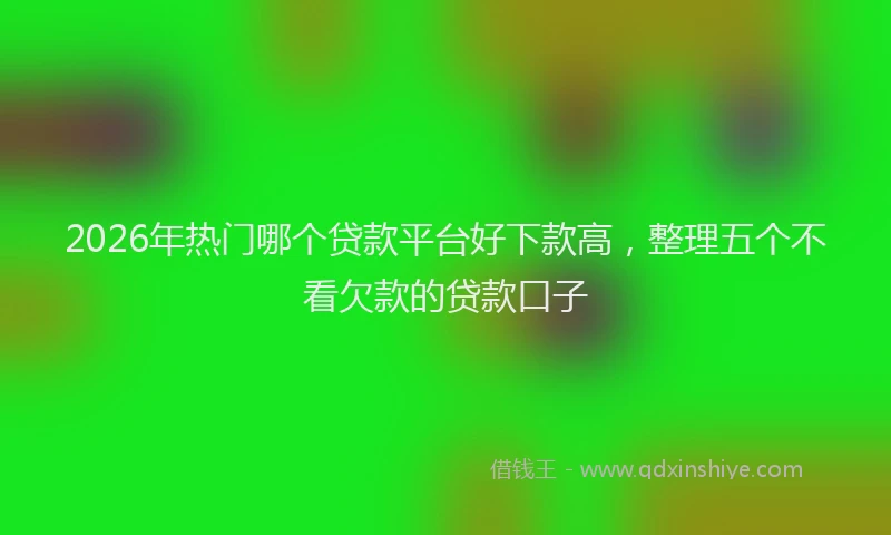 2026年热门哪个贷款平台好下款高，整理五个不看欠款的贷款口子