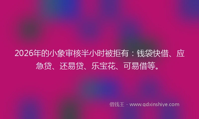 2026年的小象审核半小时被拒有:钱袋快借、应急贷、还易贷、乐宝花、可易借等。