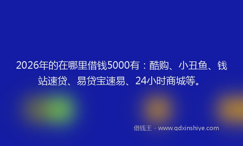 2026年的在哪里借钱5000有：酷购、小丑鱼、钱站速贷、易贷宝速易、24小时商城等。