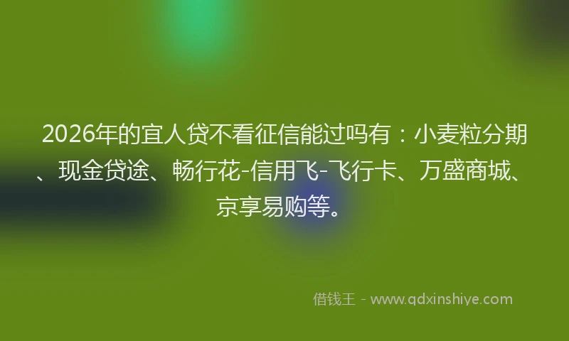 2026年的宜人贷不看征信能过吗有：小麦粒分期、现金贷途、畅行花-信用飞-飞行卡、万盛商城、京享易购等。