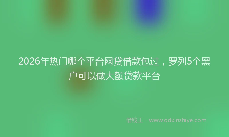 2026年热门哪个平台网贷借款包过，罗列5个黑户可以做大额贷款平台