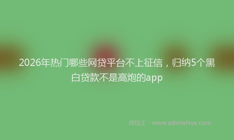 2026年热门哪些网贷平台不上征信，归纳5个黑白贷款不是高炮的app