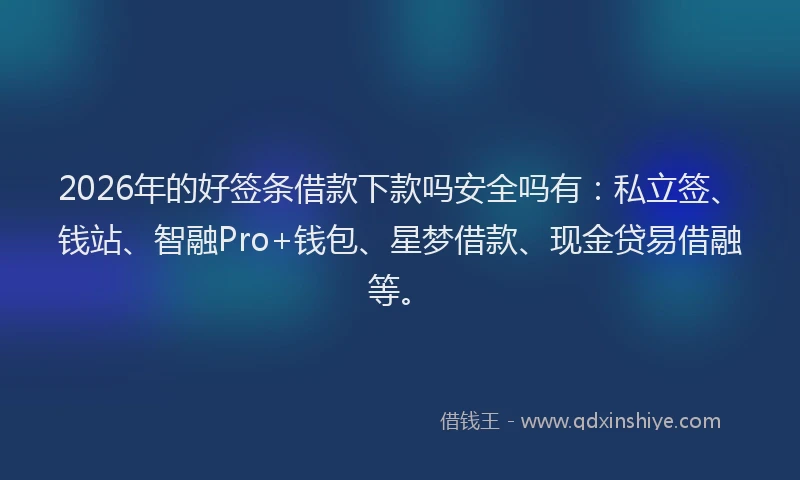 2026年的好签条借款下款吗安全吗有：私立签、钱站、智融Pro+钱包、星梦借款、现金贷易借融等。