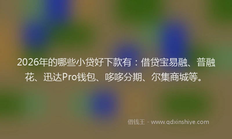2026年的哪些小贷好下款有：借贷宝易融、普融花、迅达Pro钱包、哆哆分期、尔集商城等。