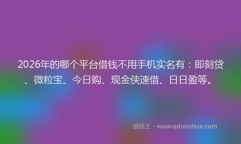 2026年的哪个平台借钱不用手机实名有：即刻贷、微粒宝、今日购、现金侠速借、日日盈等。