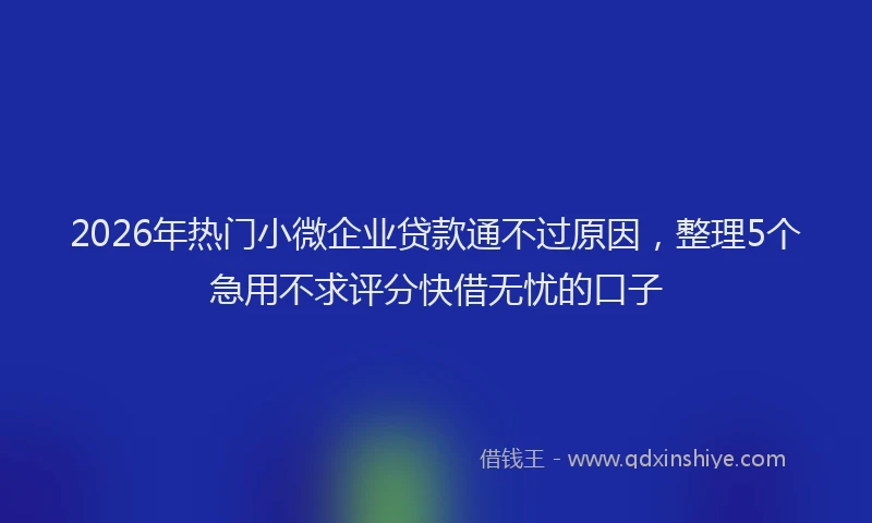 2026年热门小微企业贷款通不过原因，整理5个急用不求评分快借无忧的口子