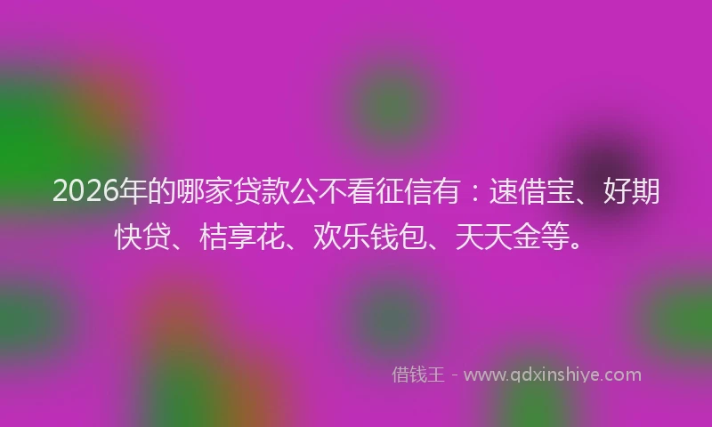 2026年的哪家贷款公不看征信有：速借宝、好期快贷、桔享花、欢乐钱包、天天金等。