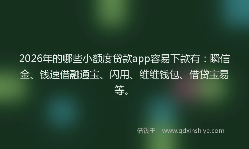 2026年的哪些小额度贷款app容易下款有：瞬信金、钱速借融通宝、闪用、维维钱包、借贷宝易等。
