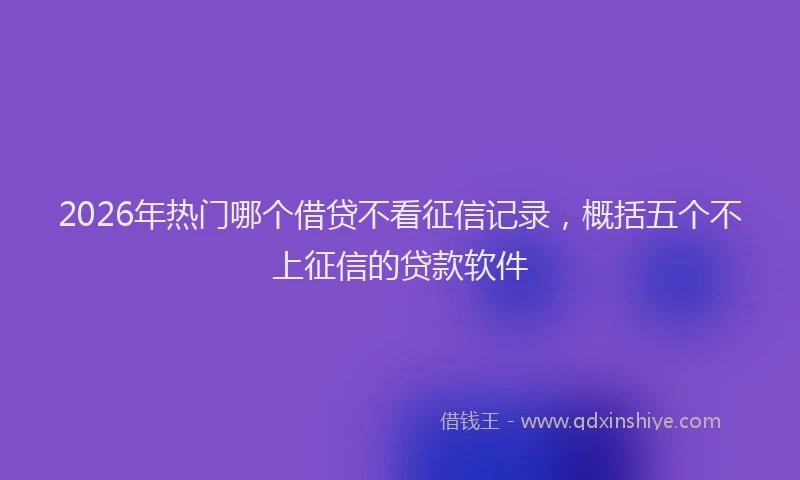 2026年热门哪个借贷不看征信记录，概括五个不上征信的贷款软件