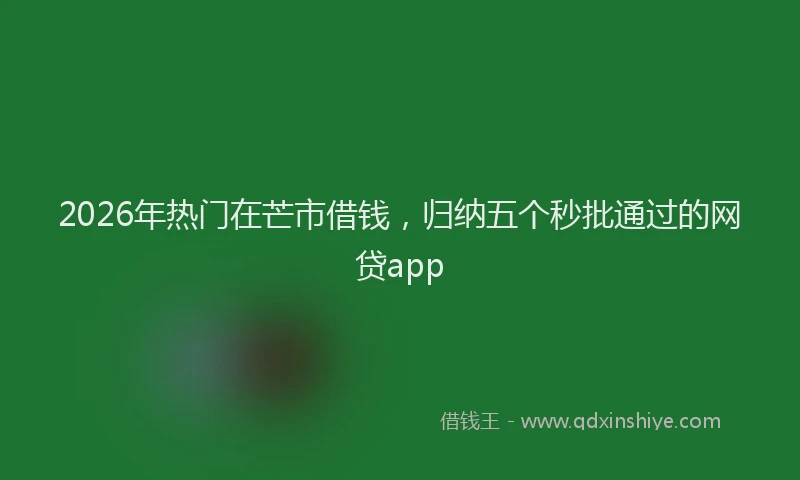 2026年热门在芒市借钱，归纳五个秒批通过的网贷app
