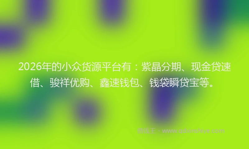 2026年的小众货源平台有：紫晶分期、现金贷速借、骏祥优购、鑫速钱包、钱袋瞬贷宝等。