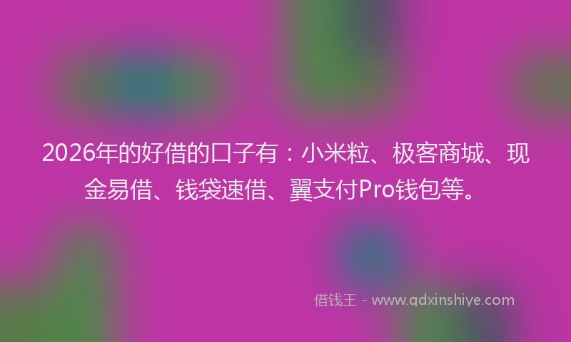 2026年的好借的口子有：小米粒、极客商城、现金易借、钱袋速借、翼支付Pro钱包等。