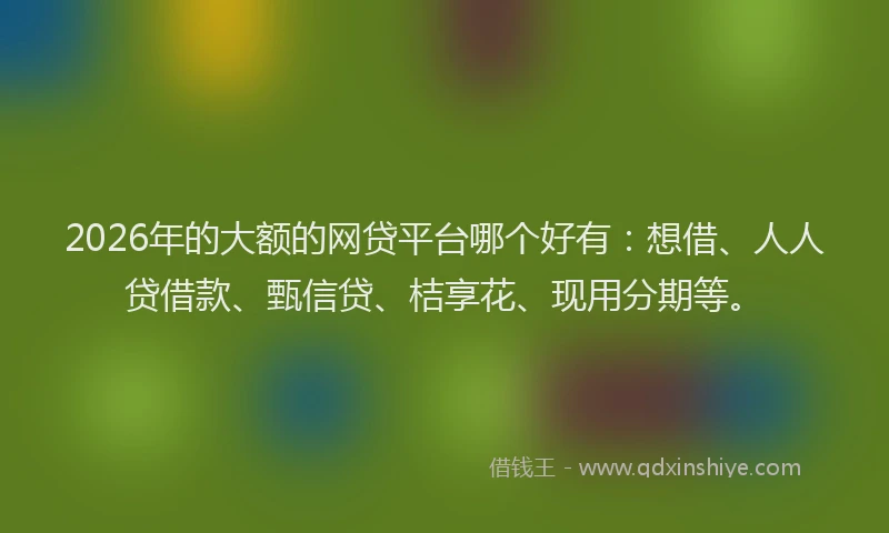 2026年的大额的网贷平台哪个好有：想借、人人贷借款、甄信贷、桔享花、现用分期等。