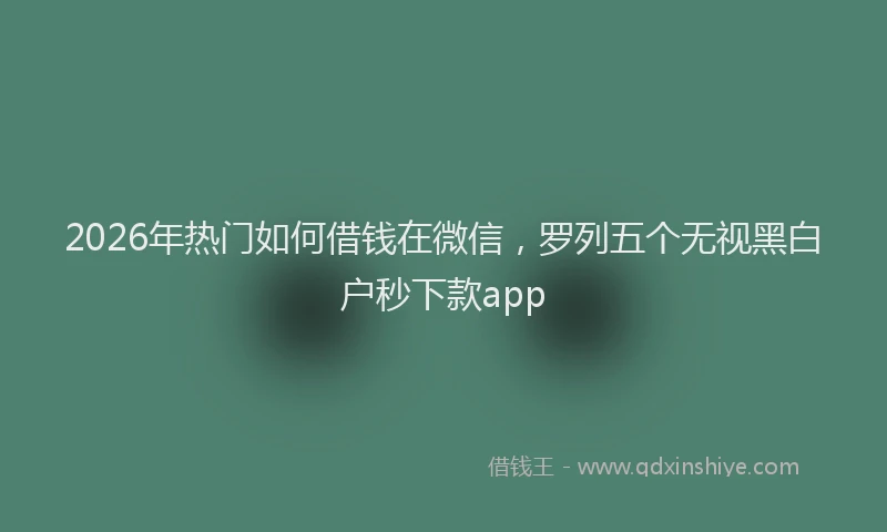 2026年热门如何借钱在微信，罗列五个无视黑白户秒下款app