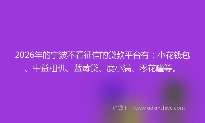 2026年的宁波不看征信的贷款平台有:小花钱包、中益租机、蓝莓贷、度小满、零花罐等。