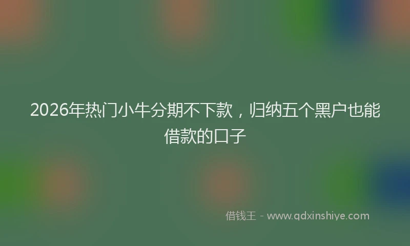2026年热门小牛分期不下款，归纳五个黑户也能借款的口子