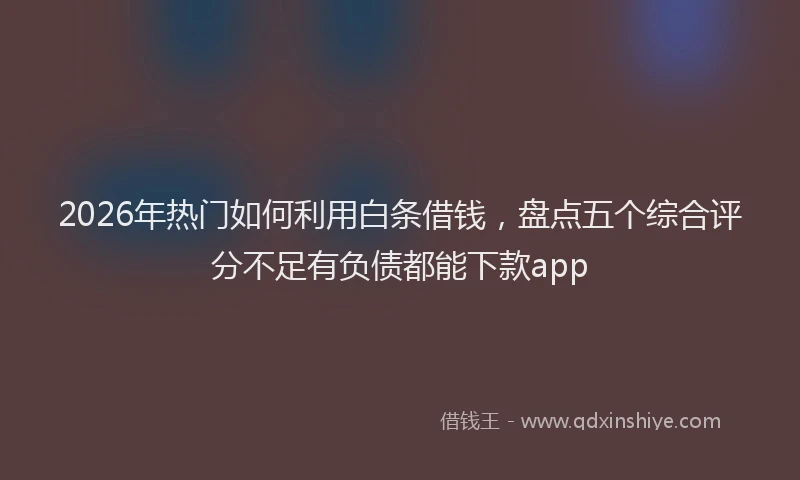 2026年热门如何利用白条借钱，盘点五个综合评分不足有负债都能下款app