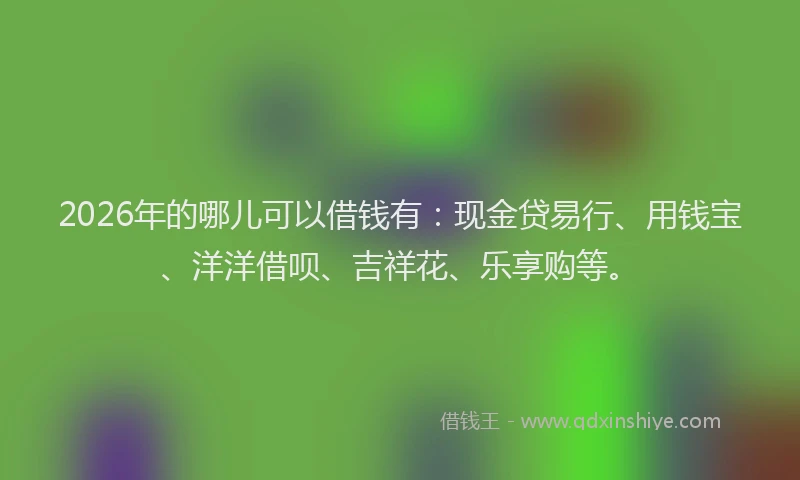 2026年的哪儿可以借钱有：现金贷易行、用钱宝、洋洋借呗、吉祥花、乐享购等。