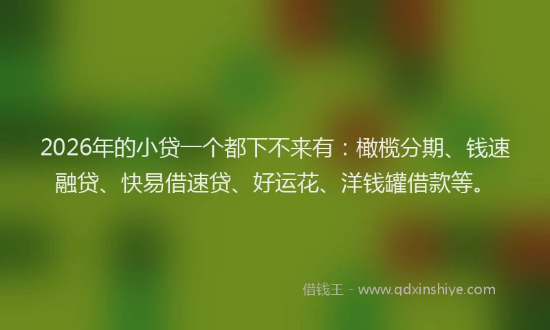 2026年的小贷一个都下不来有：橄榄分期、钱速融贷、快易借速贷、好运花、洋钱罐借款等。