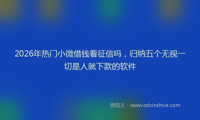 2026年热门小微借钱看征信吗，归纳五个无视一切是人就下款的软件
