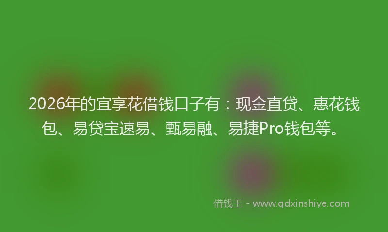 2026年的宜享花借钱口子有：现金直贷、惠花钱包、易贷宝速易、甄易融、易捷Pro钱包等。