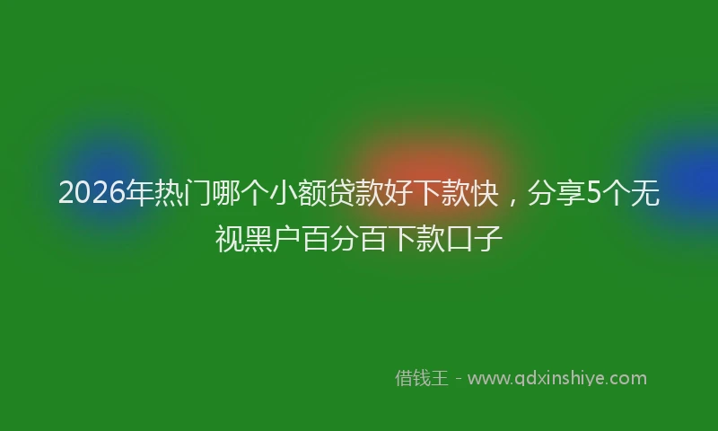 2026年热门哪个小额贷款好下款快，分享5个无视黑户百分百下款口子