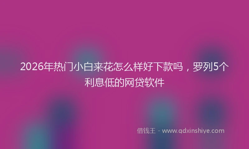2026年热门小白来花怎么样好下款吗，罗列5个利息低的网贷软件