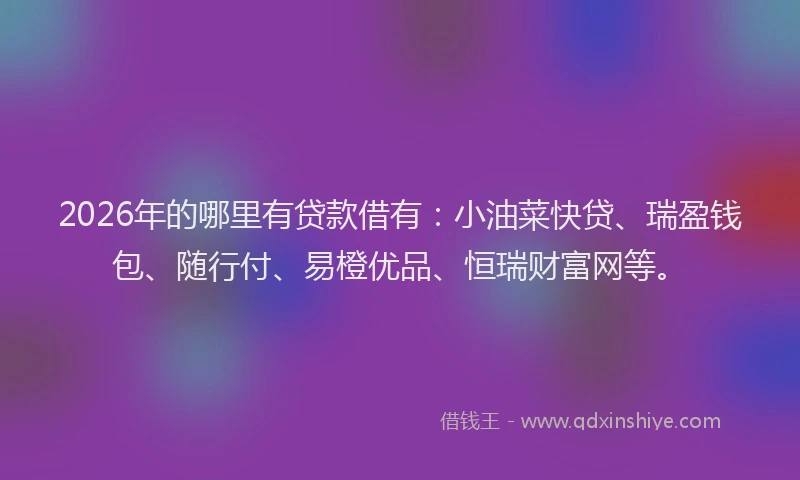 2026年的哪里有贷款借有：小油菜快贷、瑞盈钱包、随行付、易橙优品、恒瑞财富网等。