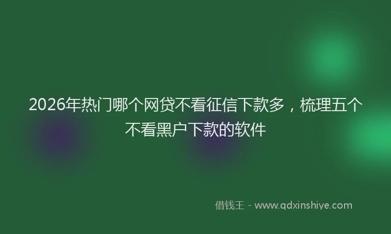 2026年热门哪个网贷不看征信下款多，梳理五个不看黑户下款的软件