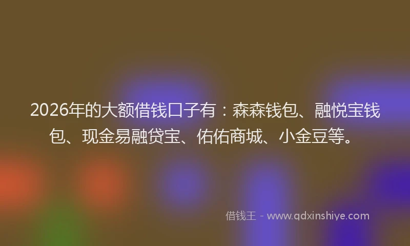 2026年的大额借钱口子有：森森钱包、融悦宝钱包、现金易融贷宝、佑佑商城、小金豆等。
