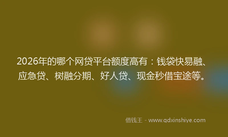 2026年的哪个网贷平台额度高有：钱袋快易融、应急贷、树融分期、好人贷、现金秒借宝途等。