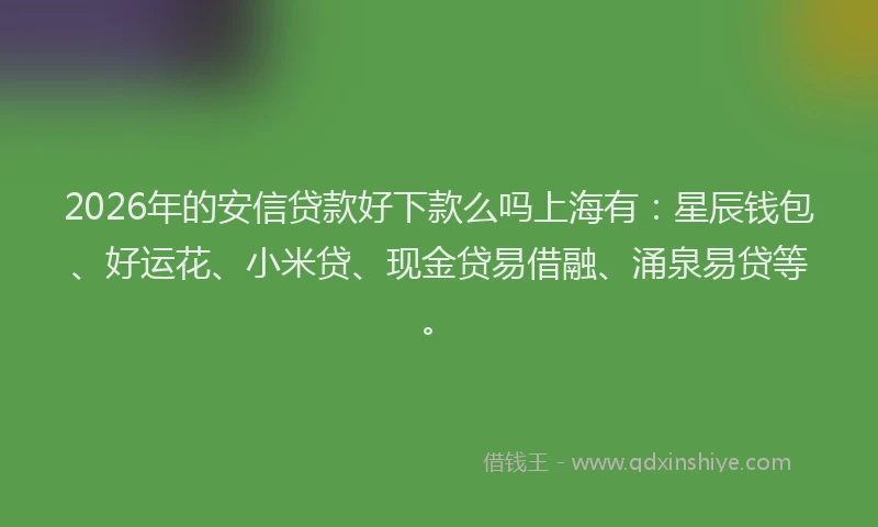 2026年的安信贷款好下款么吗上海有：星辰钱包、好运花、小米贷、现金贷易借融、涌泉易贷等。