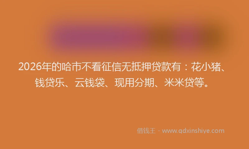 2026年的哈市不看征信无抵押贷款有：花小猪、钱贷乐、云钱袋、现用分期、米米贷等。