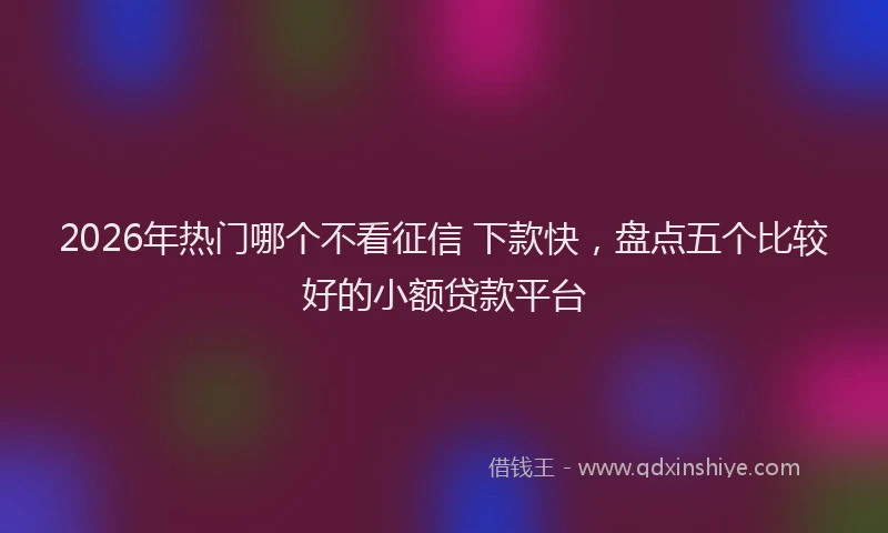 2026年热门哪个不看征信 下款快，盘点五个比较好的小额贷款平台