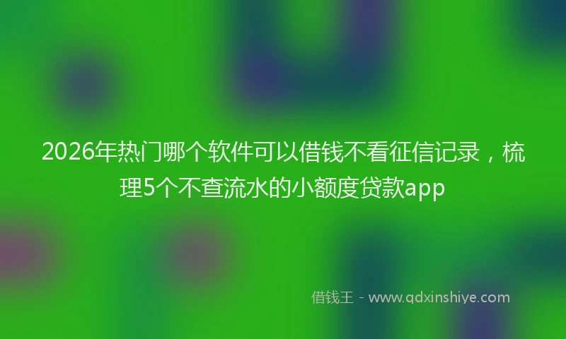 2026年热门哪个软件可以借钱不看征信记录，梳理5个不查流水的小额度贷款app