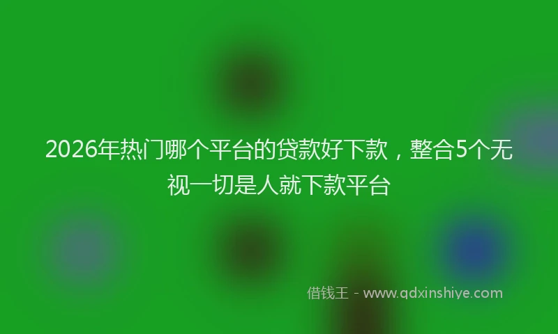 2026年热门哪个平台的贷款好下款，整合5个无视一切是人就下款平台
